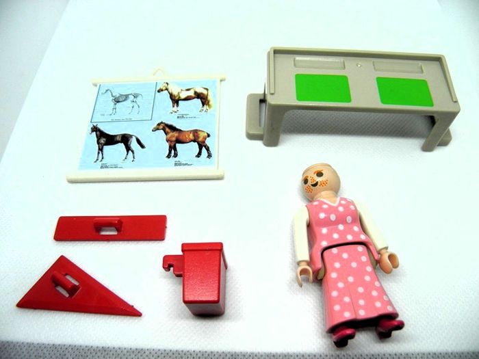 Playmobil set 5314 École (Belle Époque) - photo numéro 2