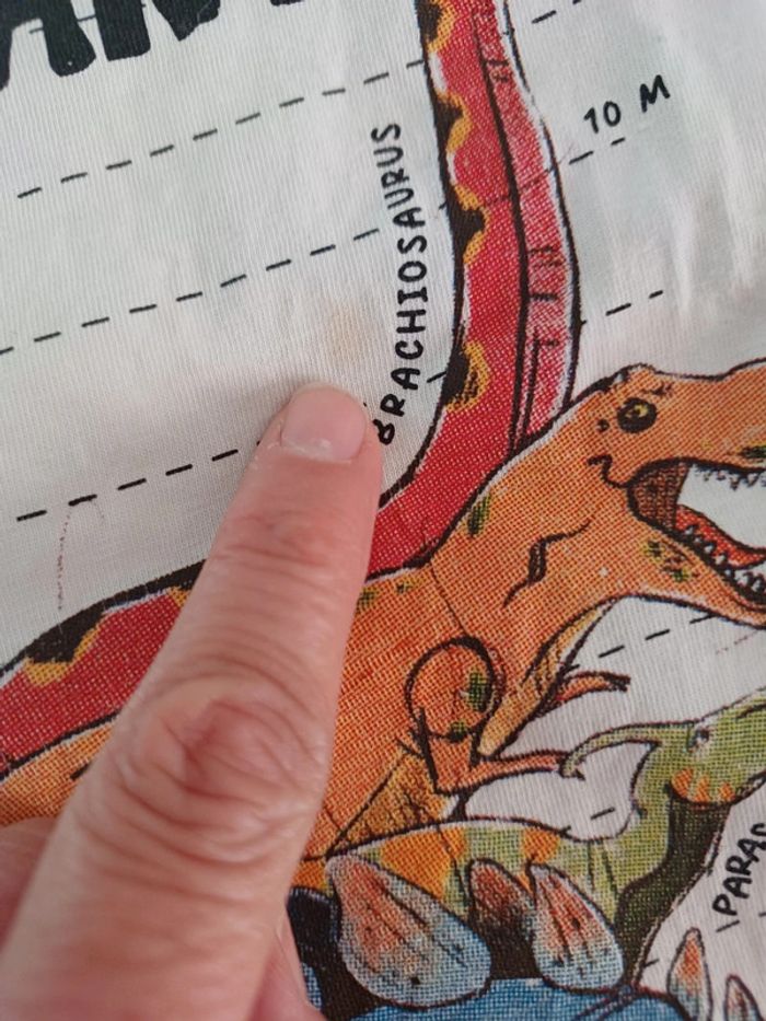 Lot de 5 tee shirt dinausores - photo numéro 4