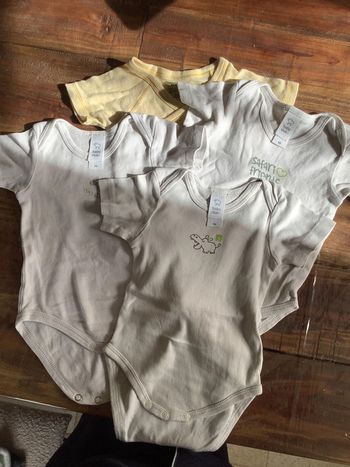 Lots de 4 bodies manches courtes