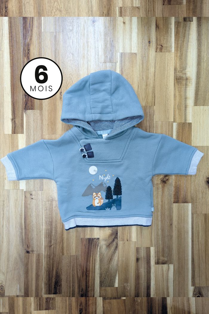 Pull / Sweat à capuche vert - Foret renard texturé - Obaïbi 6 mois