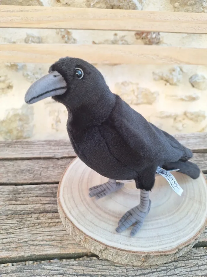 black crow corbus corbeau raven corvo cuervo rabe Hansa anima - photo numéro 3
