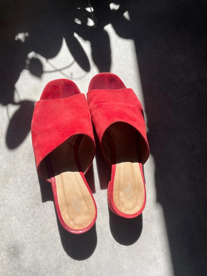 Mules - photo numéro 3