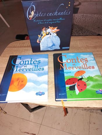 2 gros livres sur les contes enchanté histoires et contes merveilleux d'hier et d'aujourd'hui