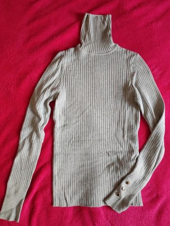 Pull col roulé
