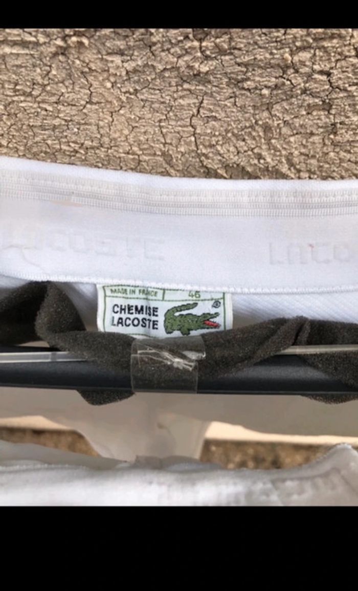Short de sport Lacoste homme - photo numéro 10