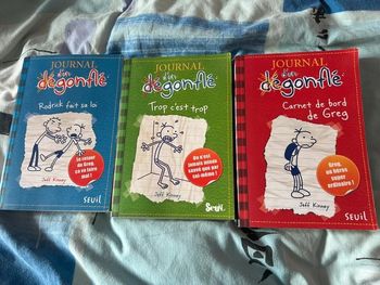 Livre journal d’un dégonflé