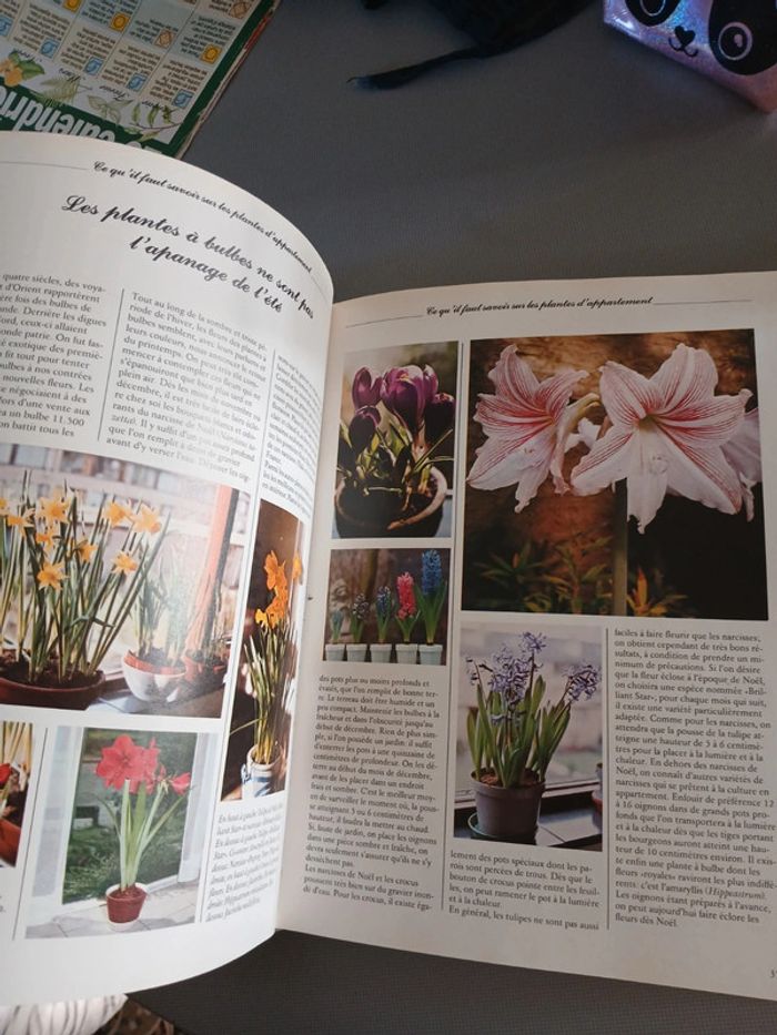 🍍 Livre Les plantes d intérieur - photo numéro 13