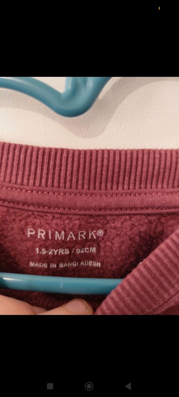 Sweat 24 mois - photo numéro 2