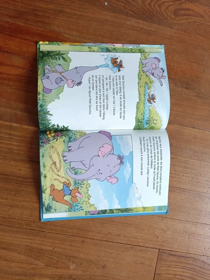 Livre Disney - photo numéro 2