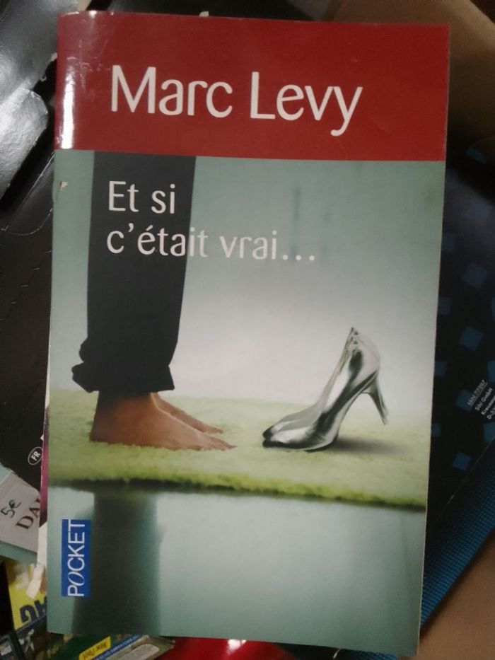 Livre et si c'était vrai Mark Levy