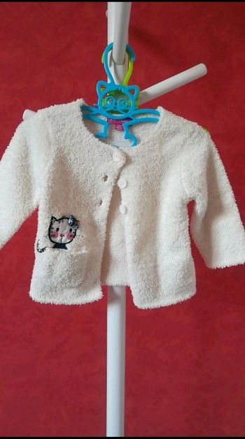 Gilet chat