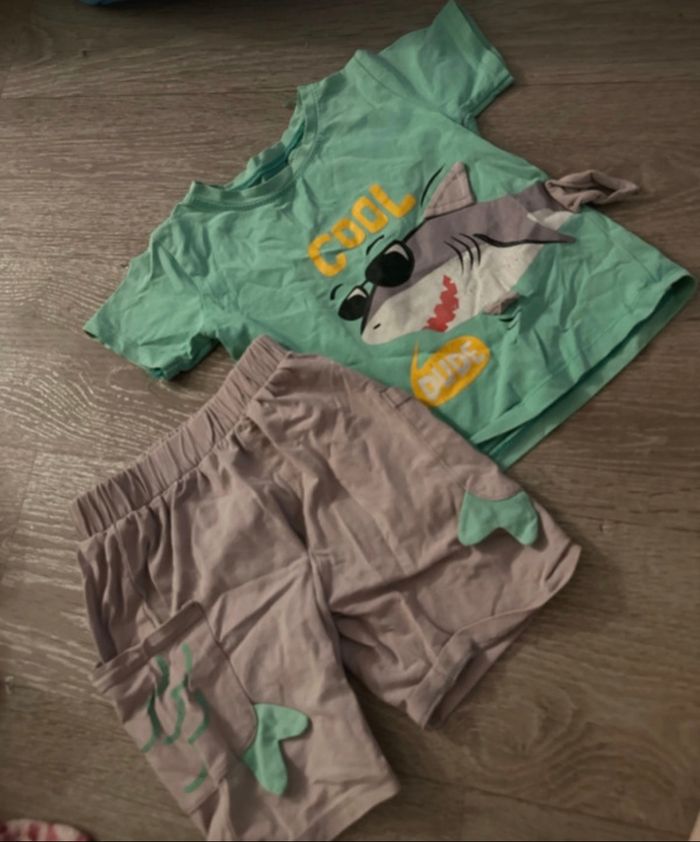 Ensemble requin