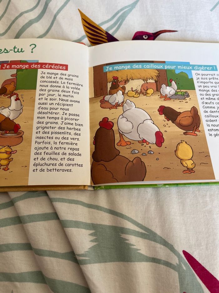 Livre la poule enfant atlas - photo numéro 2