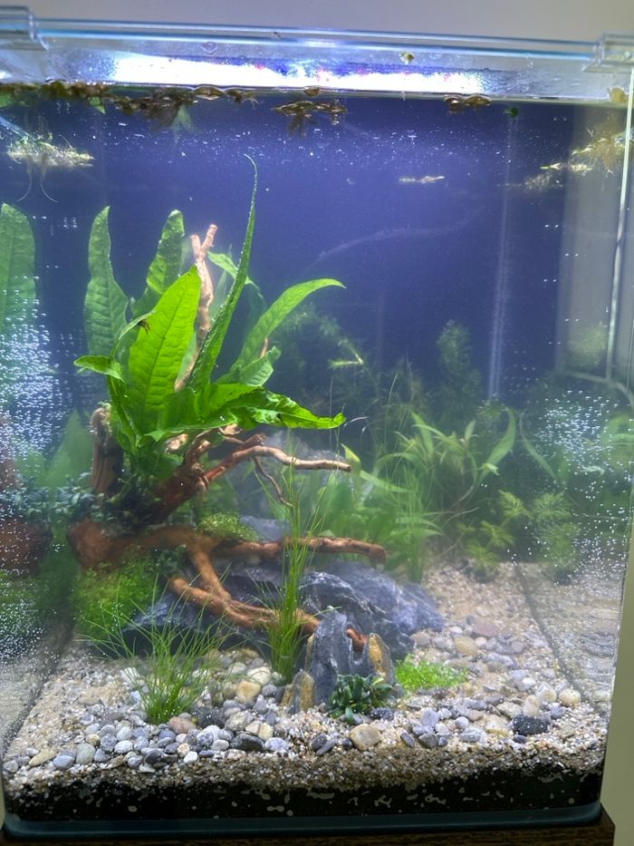 📦 Lot de 3 cartons – Pampers Baby-Dry Taille 4 - photo numéro 2