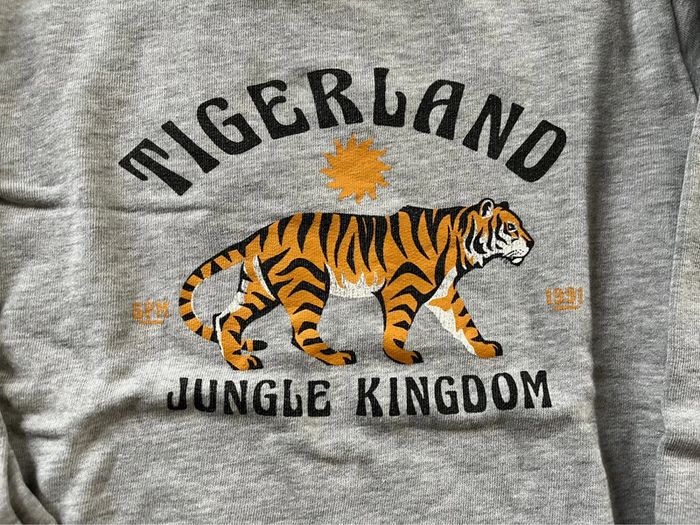 Pull sweat gris « Tigerland » 8 ans Gémo - photo numéro 2