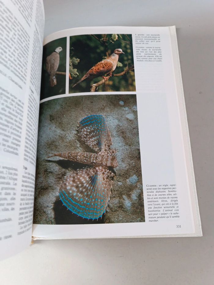 La nouvelle encyclopédie des animaux France loisirs édition 1980 - photo numéro 5