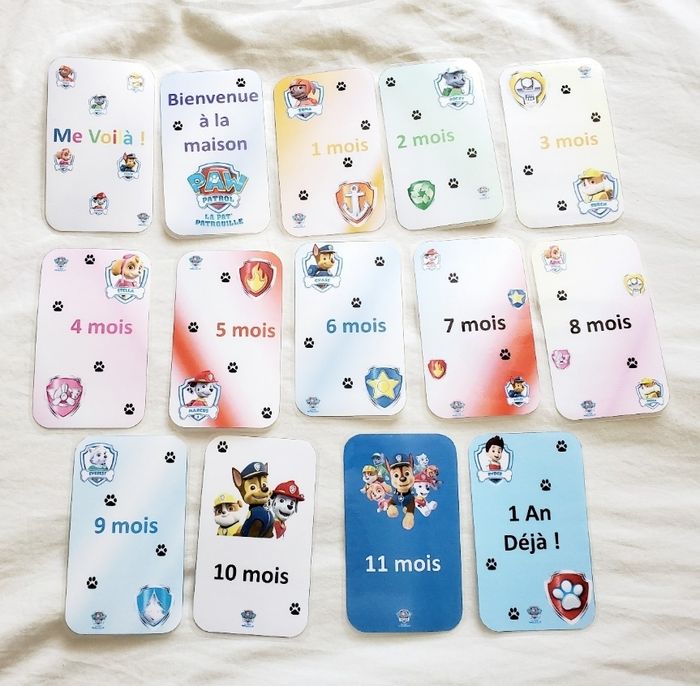 14 cartes étape - photo numéro 5