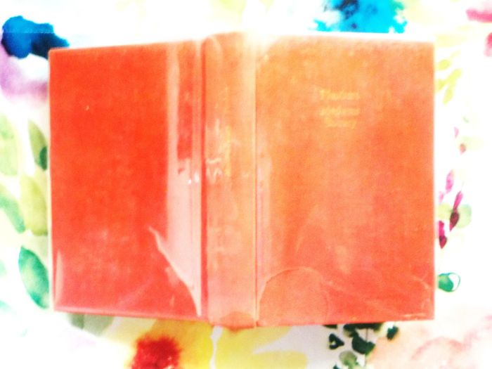 Madame Bovary de Gustave Flaubert Le Livre de Poche Classique - photo numéro 3