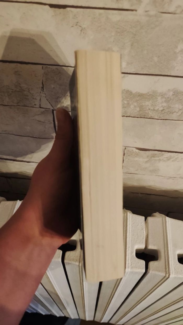 Seul le silence - R.J Ellory - Le livre de poche - photo numéro 2