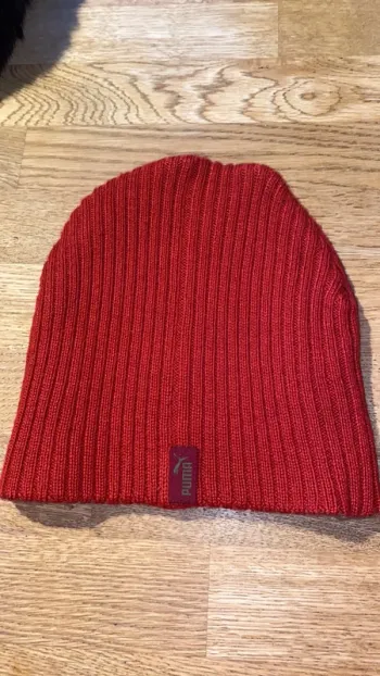 Bonnet Puma