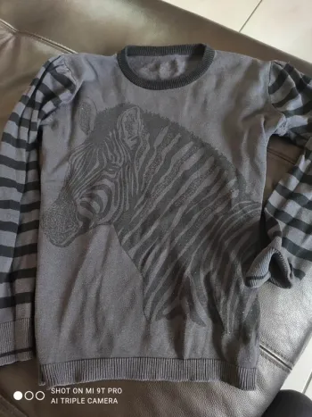 Pull 10 ans in extenso léger zebre