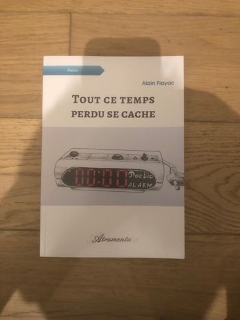 Tout ce temps perdu se cache - Alain Flayac