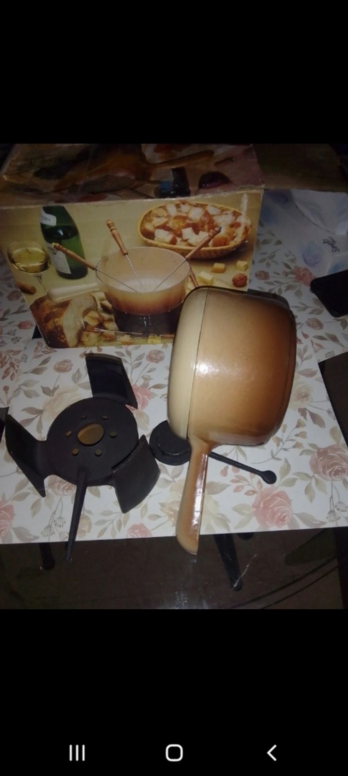 Fondue - photo numéro 4