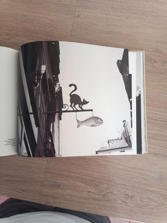 Star de chat et chats de stars - photo numéro 8