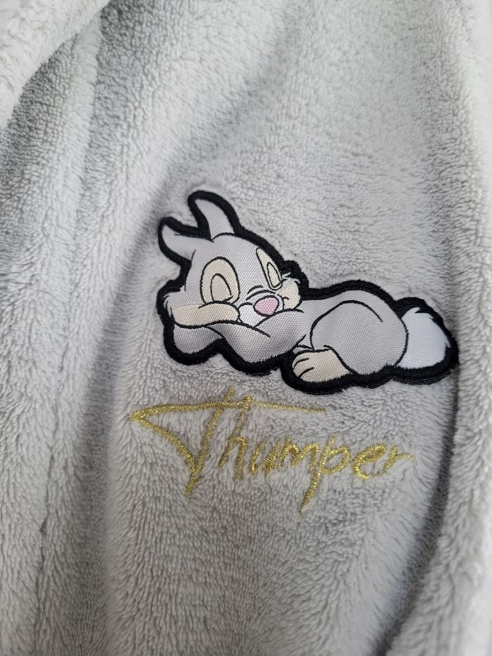 Robe de chambre disney - photo numéro 3