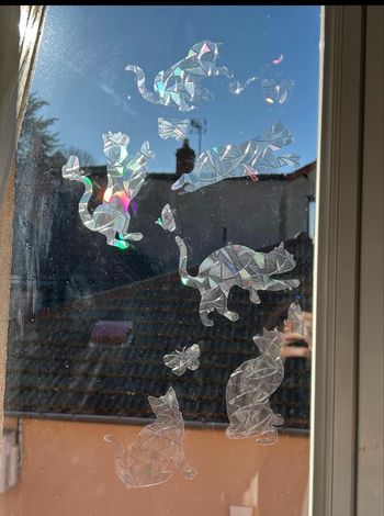 Autocollant Vitre avec Motif de Chat - Accessoire de Maison Coloré et Ludique