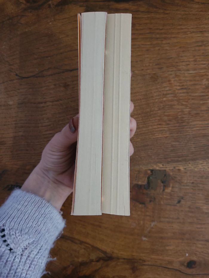 Lot 2 Mary Higgins Clark - photo numéro 6