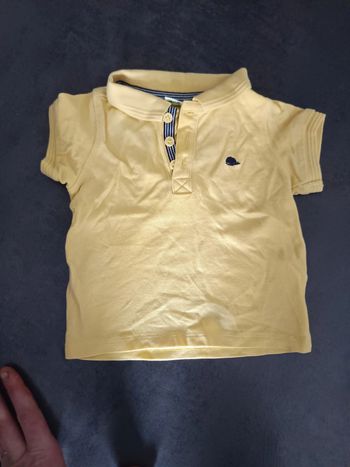 Polo tao