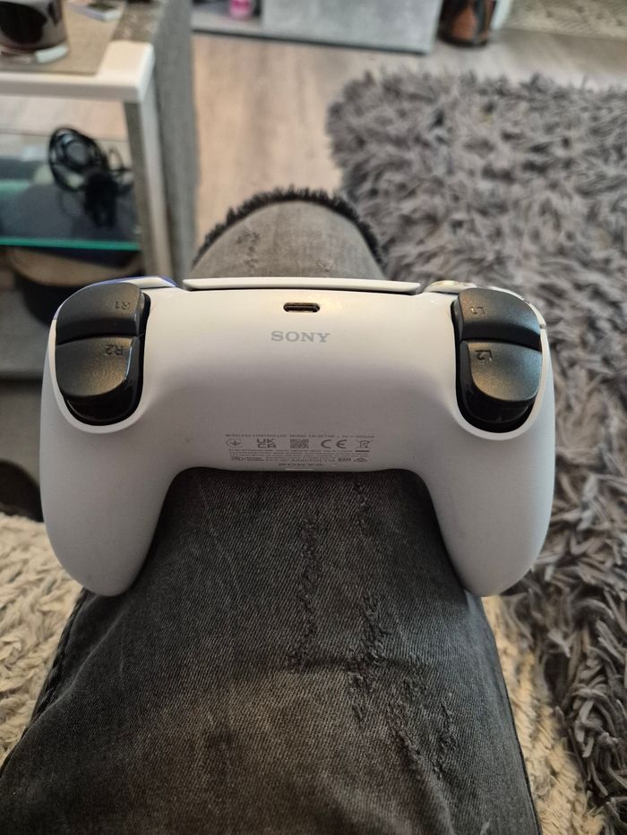Manette ps5 v2 original custom  HORIZON - photo numéro 4