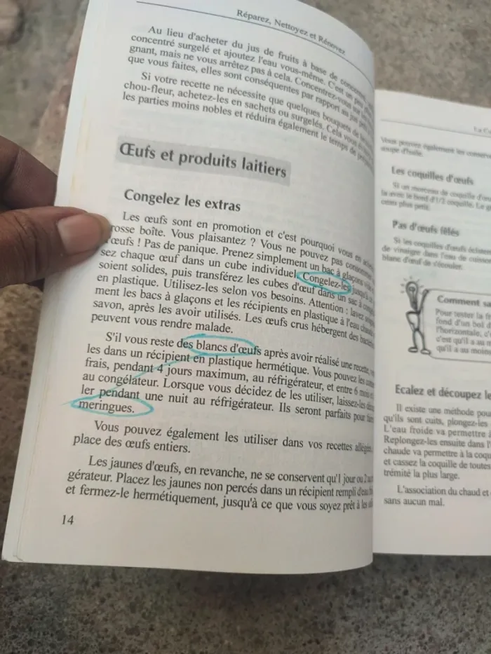 Livre réparez, nettoyez et rénovez - photo numéro 11