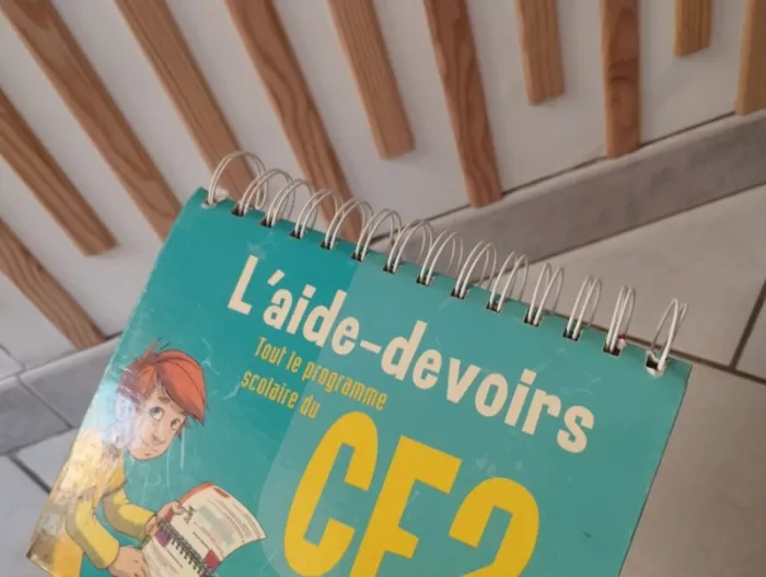 Fichier aide aux devoirs ce2 - photo numéro 17