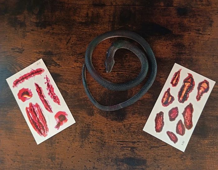 Déguisement Halloween T-S - photo numéro 9