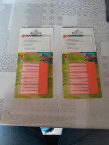 Bâtonnets de shampooing