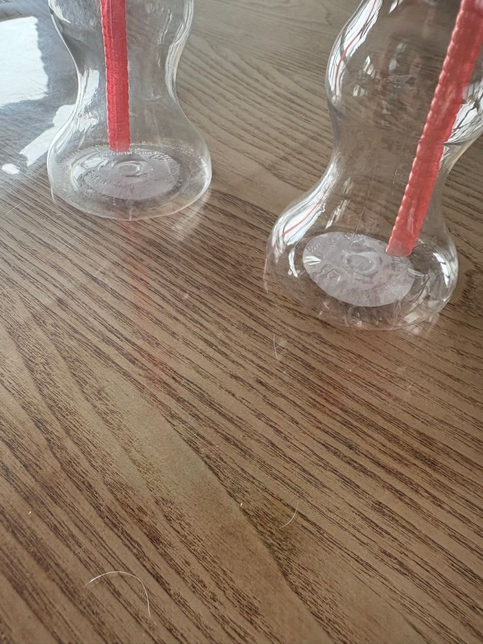 2 gourdes parc Astérix - photo numéro 3