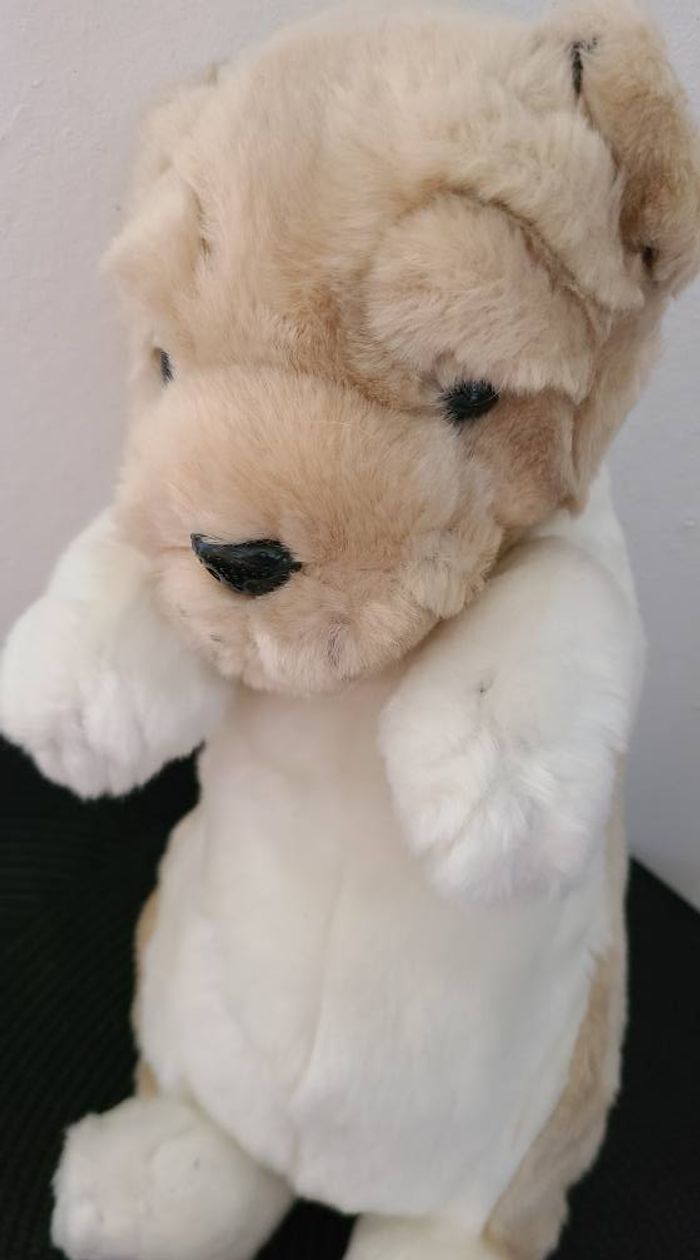 Peluche chien - Sharpei -ou autre CP