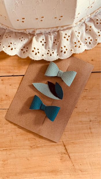 Pinces crocodiles - cadeau noël