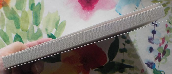 La passagère du Mendoza de Michel Ruffin Ed. Beaurepaire - photo numéro 4