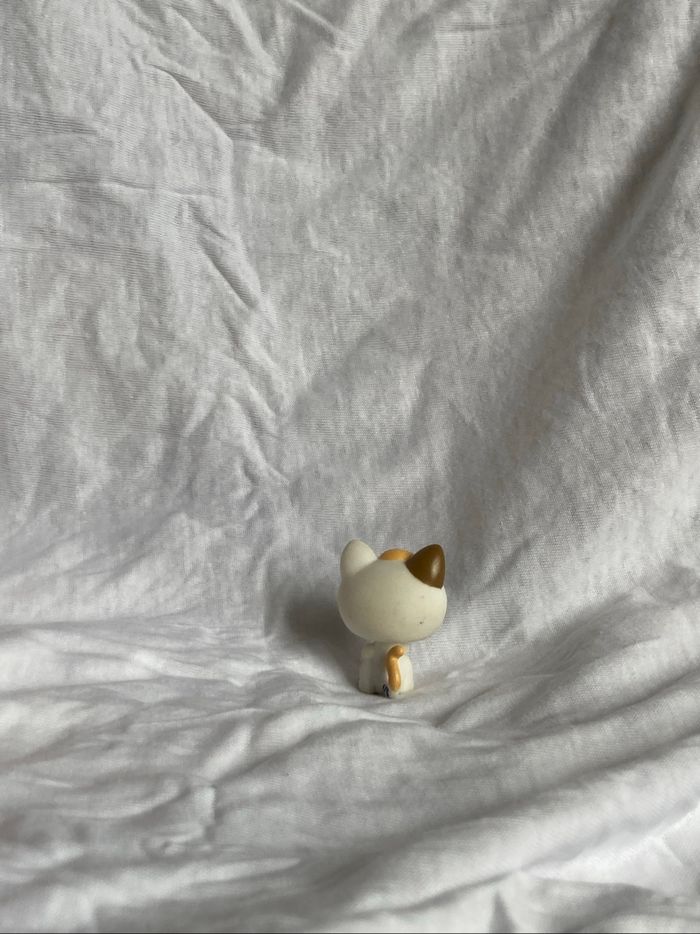lps chaton - photo numéro 3