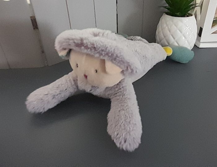 Chat vibrant Moulin Roty