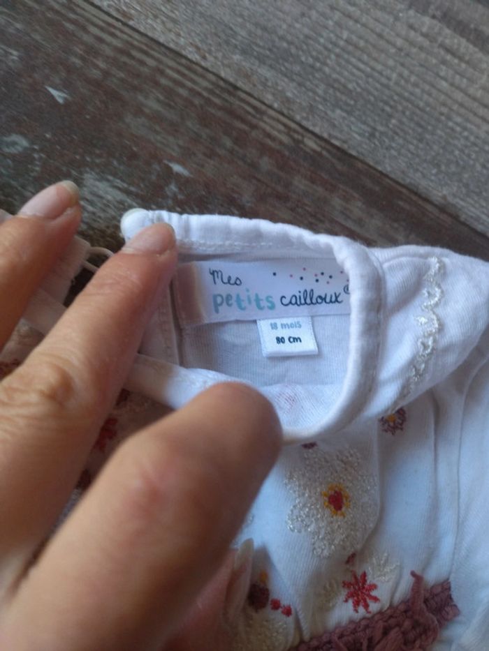 Lot tee shirt manche longue 18 mois - photo numéro 4