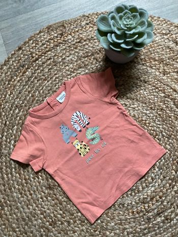 T-shirt mc  12 mois