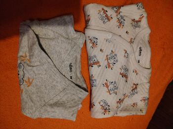 Ensemble koala 3 mois