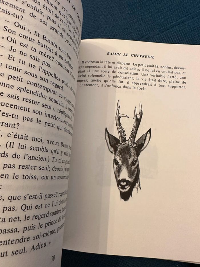 1979 Livre ancien Bambi le Chevreuil Félix Salten Pierre Probst La Galaxie - photo numéro 8