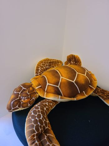 peluche tortue