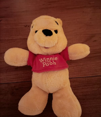 Winnie l'ourson the Pooh