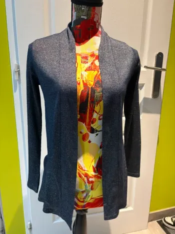 gilet à saisir